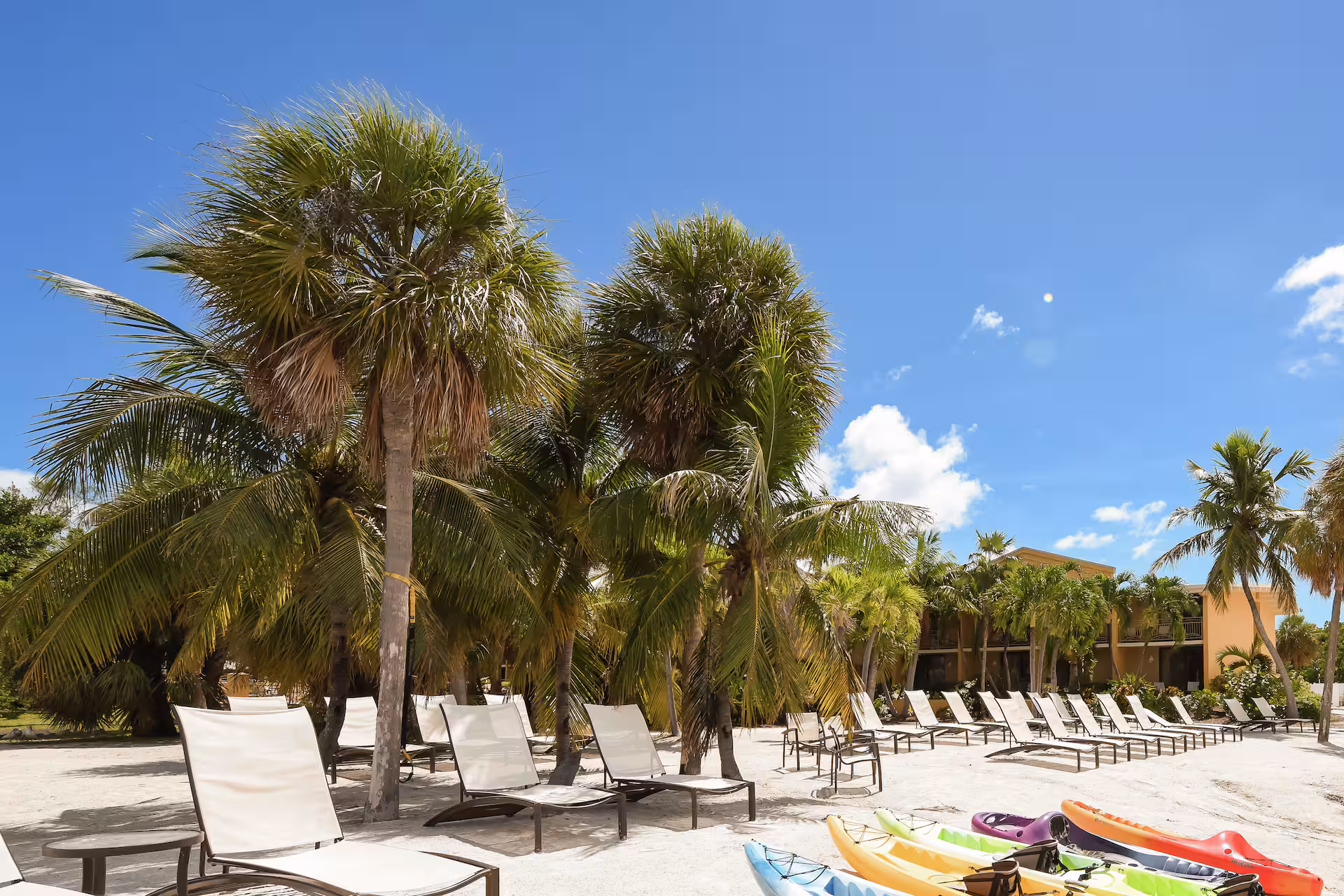 img data-cke-saved-src=