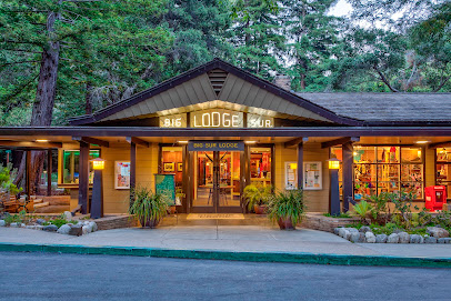 img data-cke-saved-src=