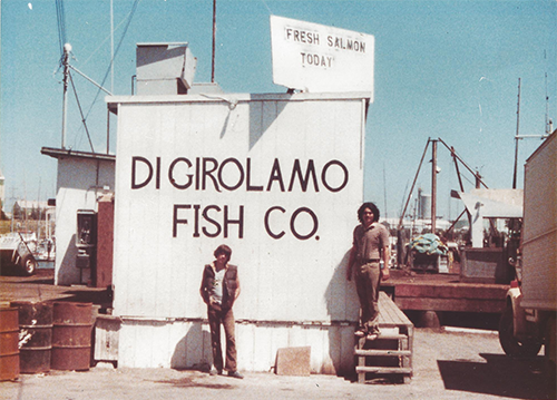 img data-cke-saved-src=